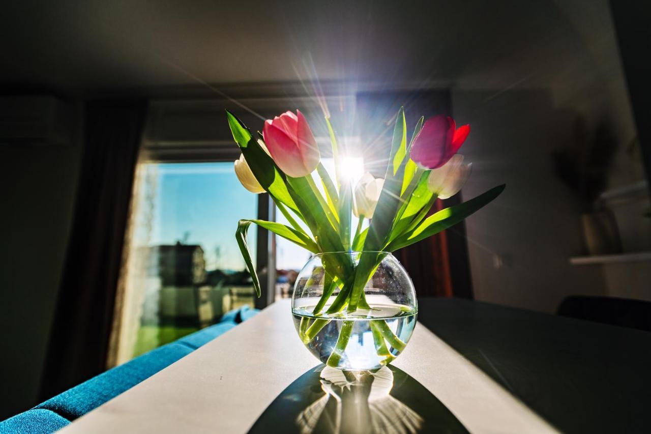 Holiday Apartment Zadar - With Summer Balcony And Parking 外观 照片